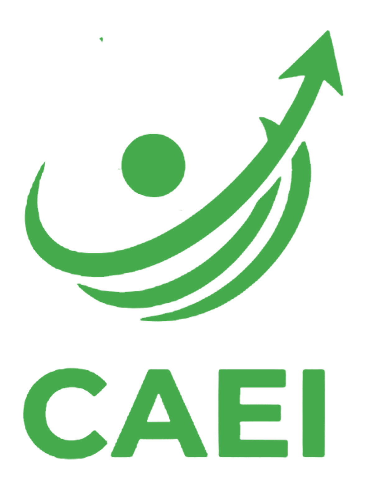CAEI Logo